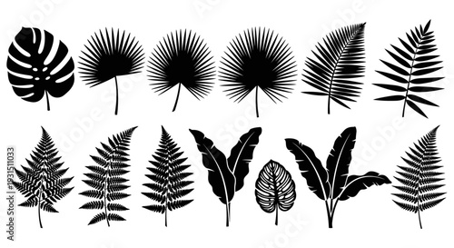 tropical leaves silhouette collection featuring exotic palm and fern foliage perfect for botanical patterns and jungle-themed designs