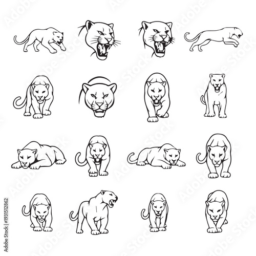 Collection of Panther Illustrations Diverse Poses and Expressions