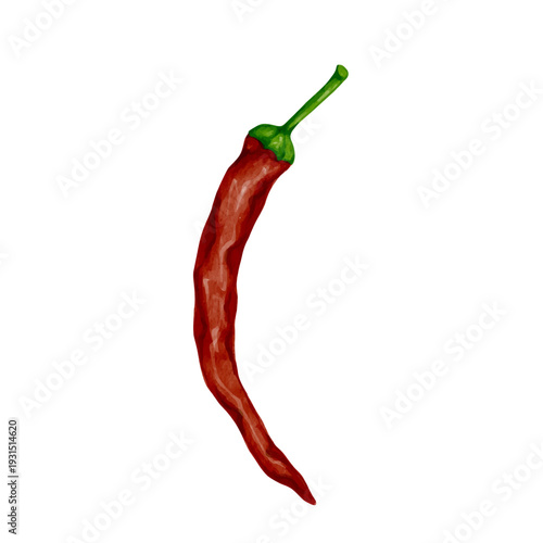 Ripe hot red chili pepper. Vector graphics.