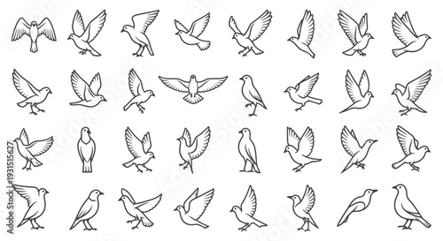 diverse collection of minimalist flying dove and standing bird icons illustrating peace freedom and nature concepts for graphic design projects.
