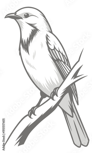 Detailed Sketch of a Small Bird Perched on a Branch.