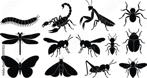 Black insect silhouettes collection including scorpion, spider, dragonfly, butterfly, beetle, ant, moth, grasshopper, fly, mantis, centipede, bee