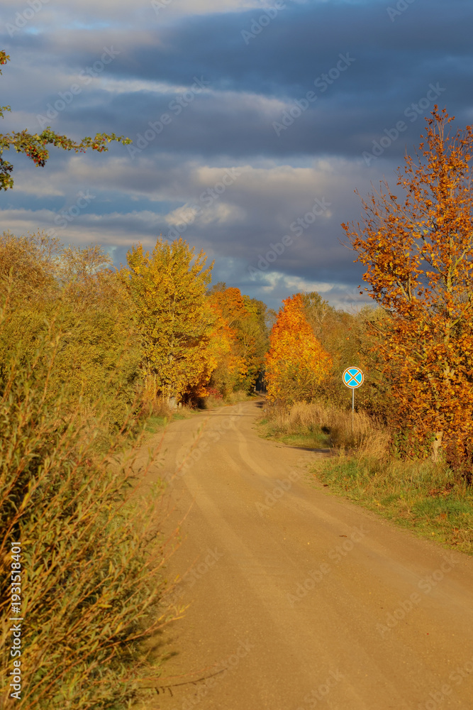 Fototapeta premium Autumn countryside dirt road winding through colorful trees under dramatic cloudy sky. Quiet rural road curving forward, peaceful autumn mood, natural countryside, journey, travel, direction, seasonal