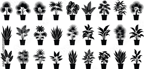 Potted indoor plant silhouettes collection, tropical and decorative houseplants in flower pots isolated on white background, botanical home decor set for interior design