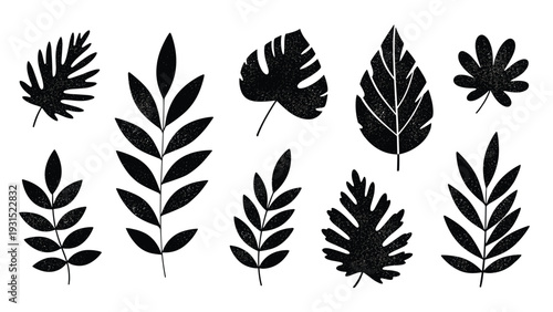 Set of various tropical leaf silhouettes with a grainy texture in black isolated on a clean white background for design.