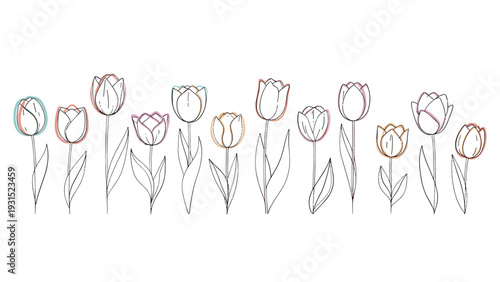 Simple hand drawn tulip line art with subtle pastel color accents creates a minimalist and elegant floral border for card designs.