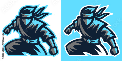 Two ninja characters in dynamic poses with blue outlines and accents
