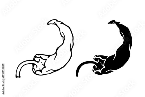 Line sketch, stamp of hot chili pepper pods. Simple vegetable doodles. Vector graphics.
