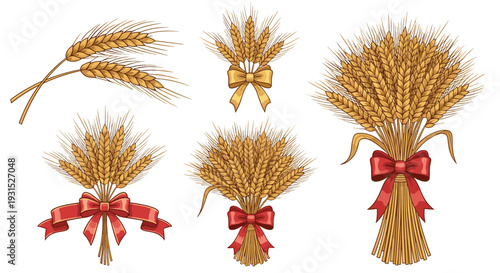 Elegant set of ripe wheat stalks and bundles tied with decorative red and yellow bows perfect for harvest themed designs.