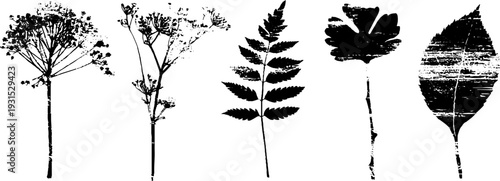 High contrast abstract plant labels for garden design and decor