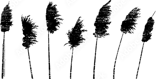 Abstract high contrast reed plume seeds in stencil style design for creative projects