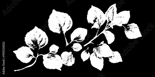 Abstract sage leaf composition in high contrast grunge style for design projects