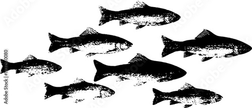 Abstract high contrast school of fish stencil design for nautical projects