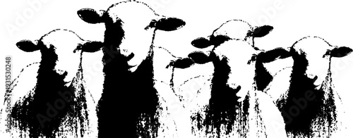 Sheep silhouette with wool curls in high contrast grunge style for artistic designs