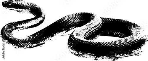 Coiled snake silhouette in high contrast stencil art style
