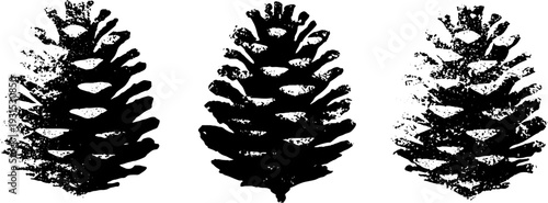 Abstract high contrast spruce cone scales stencil design for art and decoration