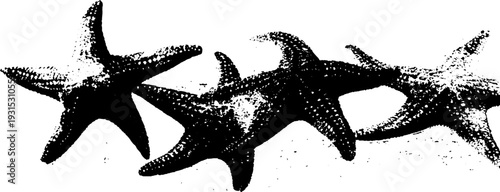 Abstract high contrast starfish arm texture in stencil style design for print