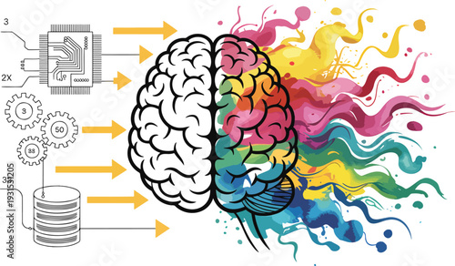Human brain processing data inputs and generating vibrant, colorful creative ideas on a white surface