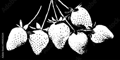 Abstract strawberry close-up in high contrast stencil style for creative design