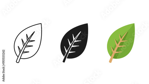 Three leaf icons in different colors and styles Vector