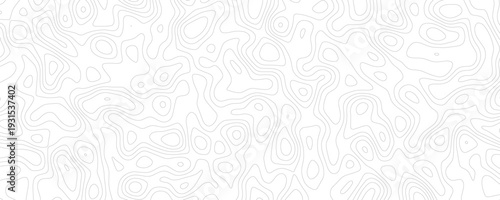 Modern topographic map design with abstract contour lines