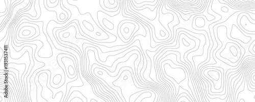 Modern topographic map design with wavy contour lines