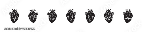 Collection of human anatomical heart illustrations showcasing various cardiac rhythms and internal structures