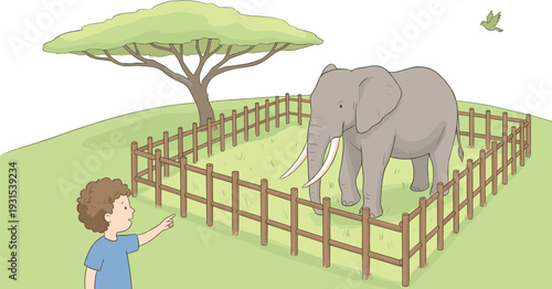 Child observing elephant in wildlife enclosure, safari animal education scene, nature park environment illustration, learning about animals outdoor concept