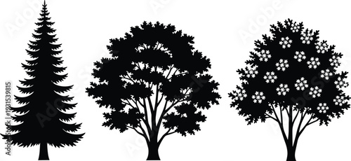 Tree silhouette set with pine, leafy deciduous and flowering tree, detailed black nature illustrations isolated on white background