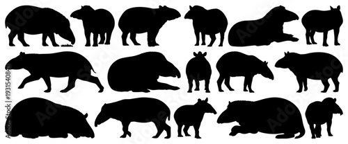 Tapir Silhouettes Large Collection in Multiple Poses and Perspectives Isolated on Transparent Background