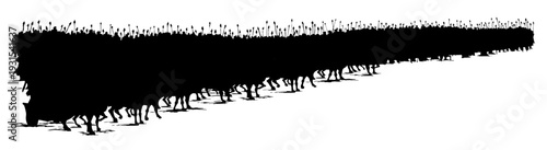 Vector drawing. Army on chariots