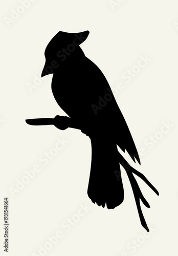 Vector drawing. Bird on white sky backdrop.
