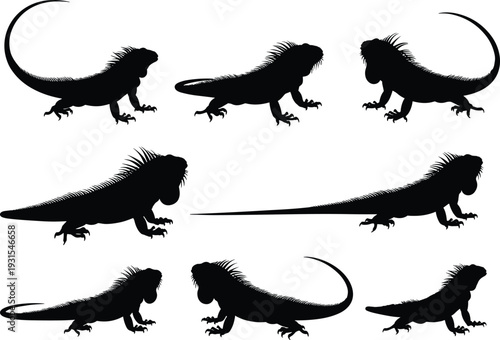 Iguana lizard silhouette vector set, black reptile collection with detailed spines and long tails, exotic wildlife illustration isolated on white background