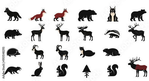 Collection of Various Animal Silhouettes and Outlines.