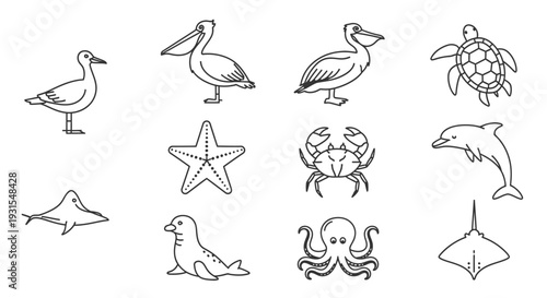 Line Art Marine Animals and Sea Creatures.