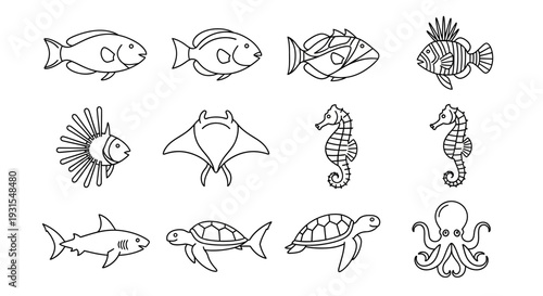 Various Black and White Marine Life Illustrations.