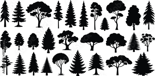 Tree silhouettes collection set, diverse forest botanical elements, nature garden plants, organic pine and oak ornaments