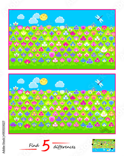 Find 5 differences. Drawing of a spring meadow with flowers. Logic puzzle game for children and adults. Page for kids brain teaser book. IQ test for smartest. Game find and search. Hand drawn vector.
