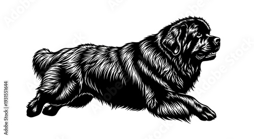 Mighty Newfoundland Dog Silhouette Swimming Powerfully