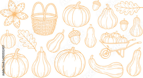 Autumn pumpkin and squash set illustration with basket, wheelbarrow, oak leaves collection