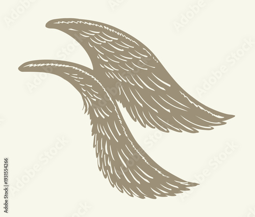 Vector drawing. Two large wings.