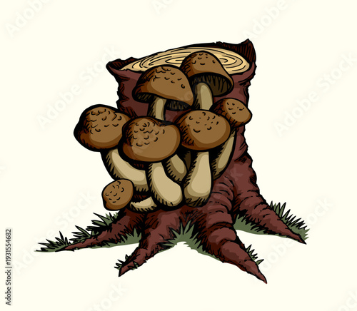Vector drawing. Honey mushrooms on a stump