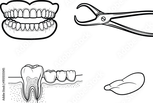 Dental illustrations including teeth mouth and extraction tools