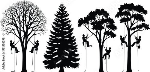 Tree trimming and arborist silhouettes with rope access climbers isolated on white background forestry maintenance vector illustration set for design use