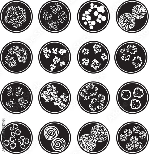 Collection of various microscopic organisms and cells in circular frames on transparent background