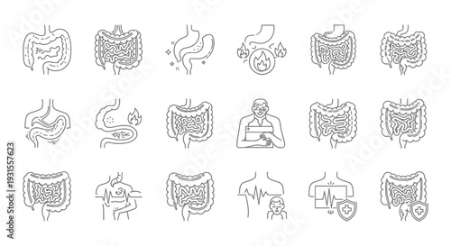 line icons set of human digestive system health problems like stomach inflammation gut pain and medical treatment concepts