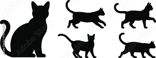 Black cat silhouette collection with sitting and walking poses, domestic feline vector set isolated on white background for design use