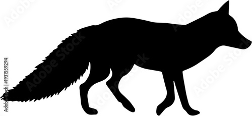 Silhouette of a wild fox walking on white background