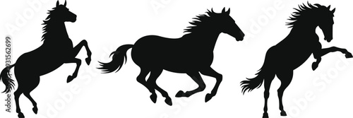 Black horse silhouette set with rearing and running stallions, powerful equine vector illustration isolated on white background for design use