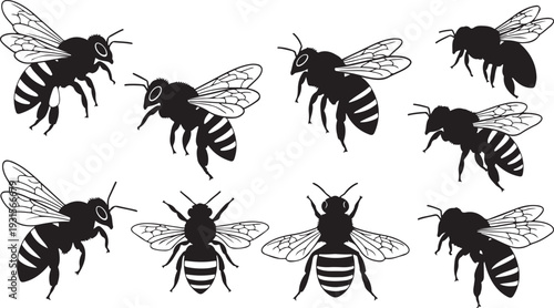A collection of nine black and white bees in various poses and positions. isolated on transparent background